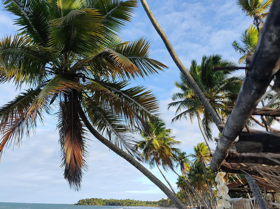 Cueira Beach-Ilha de Boipeba必去景点