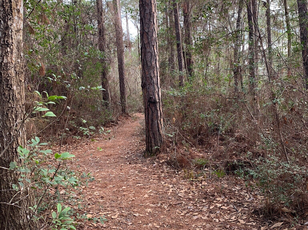 Fontainebleau Nature Trail景点图片