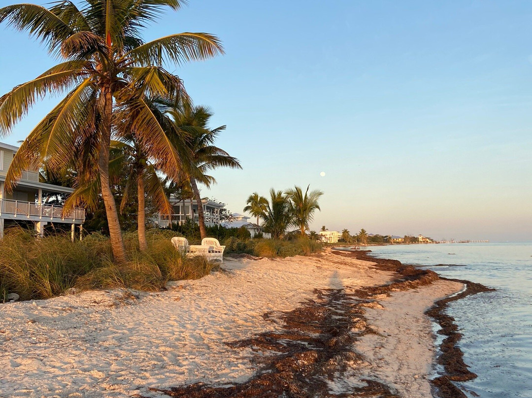 Deer Run on The Atlantic主图