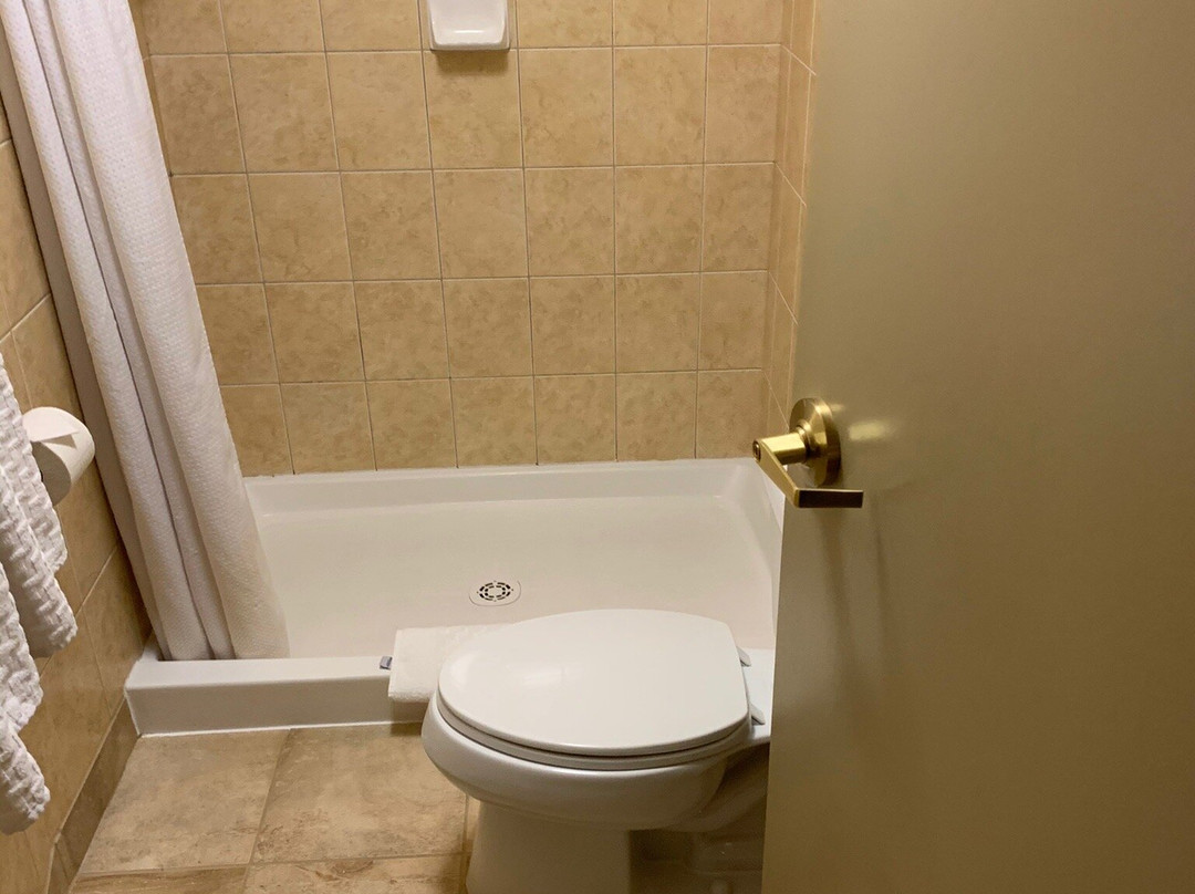 Waterloo Suites Hotel主图