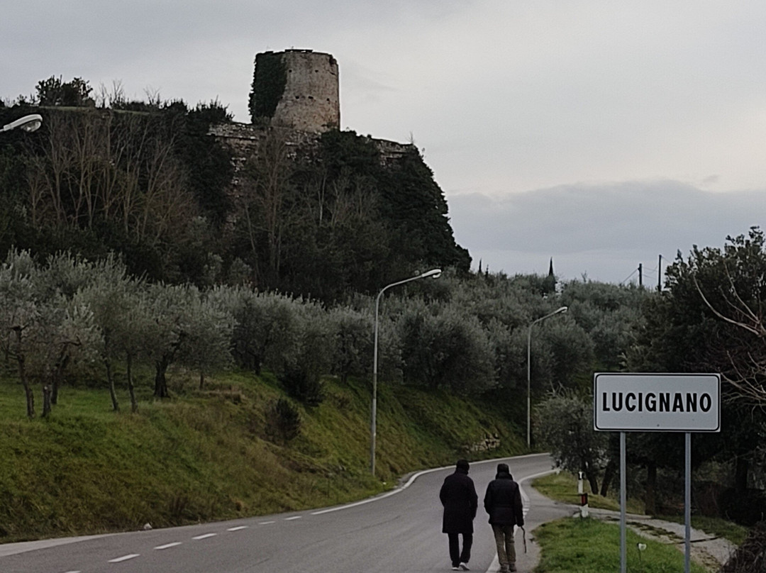 Fortezza Medicea Di Lucignano景点图片