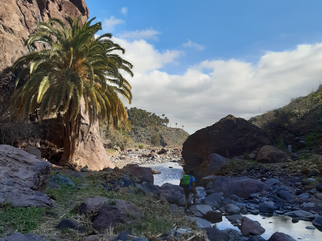 Raices Canarias Actividades-大加那利岛拉斯帕尔马斯必去景点