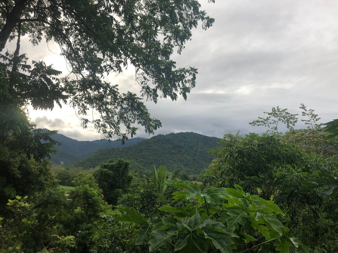 Wonga Beach酒店住宿-Mossman Gorge Bed and Breakfast