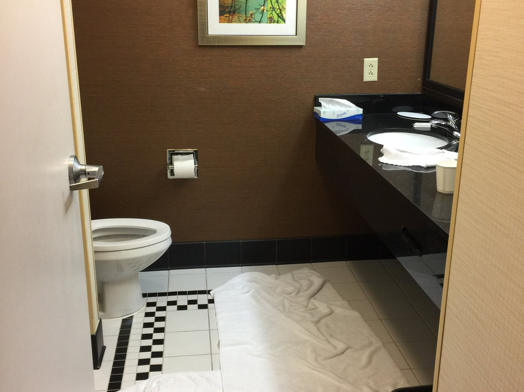 Fairfield Inn & Suites By Marriott Bedford主图