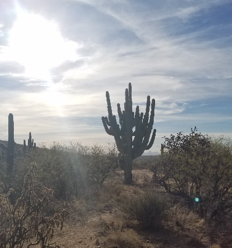 Catalina State Park景点图片