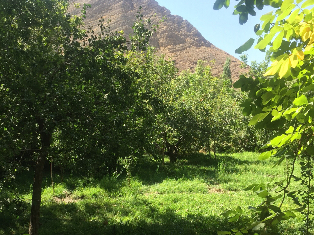 Iran Adventurers-卡尚必去景点