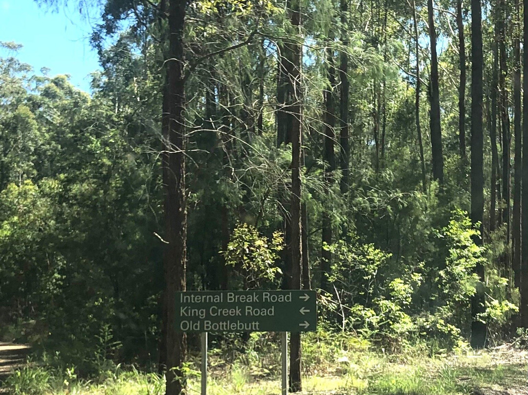 Old Bottlebutt-Wauchope必去景点