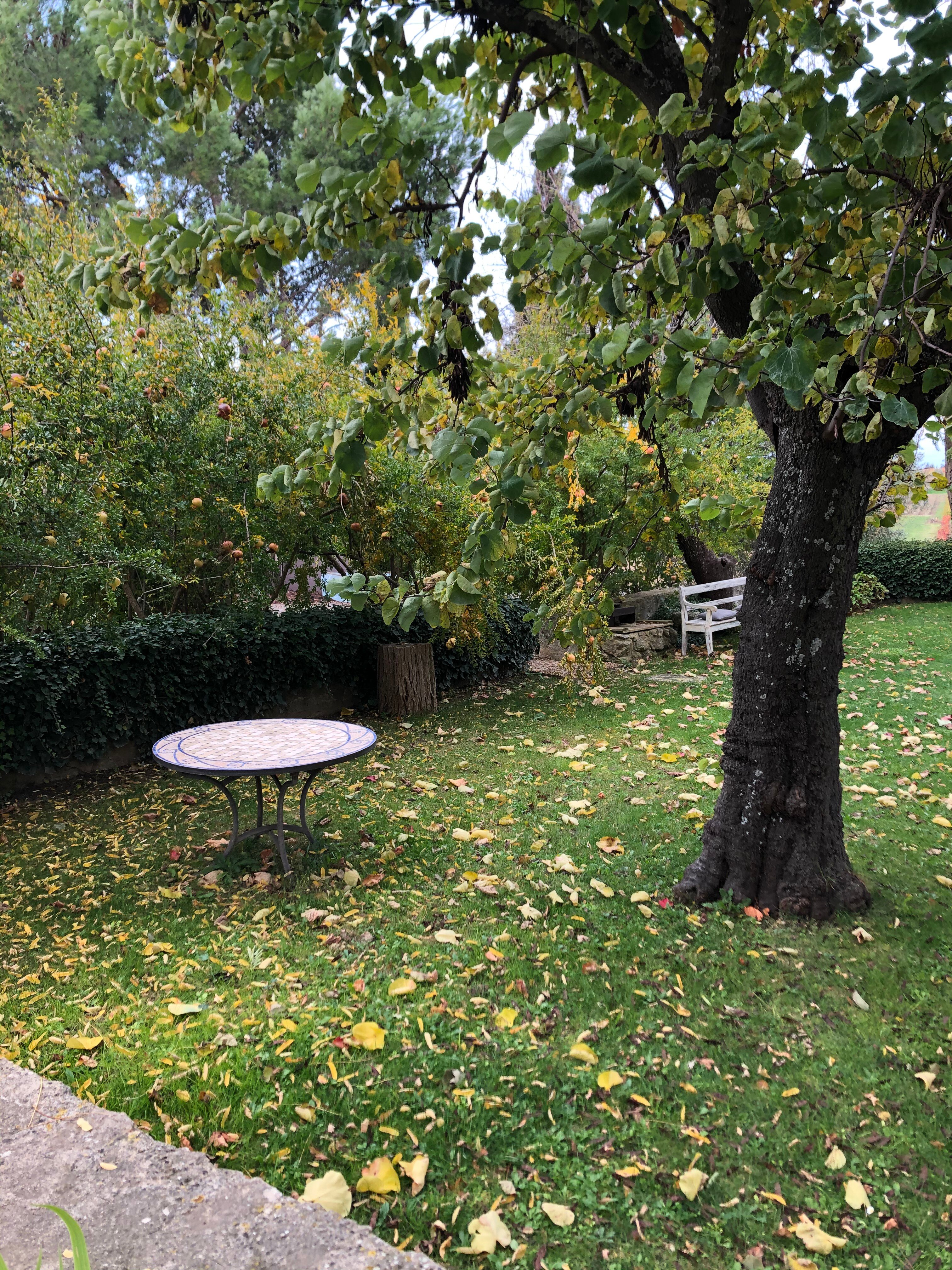 Domaine La Parpaille-酒店景观