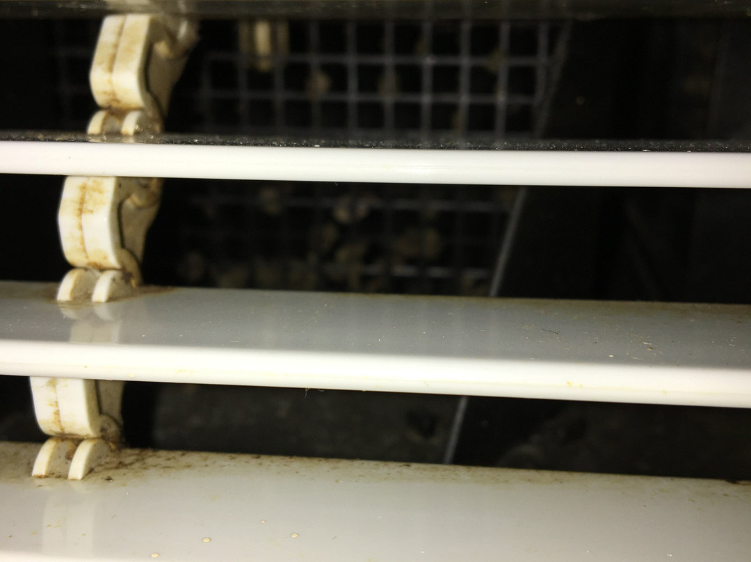 Red Roof Inn Findlay主图