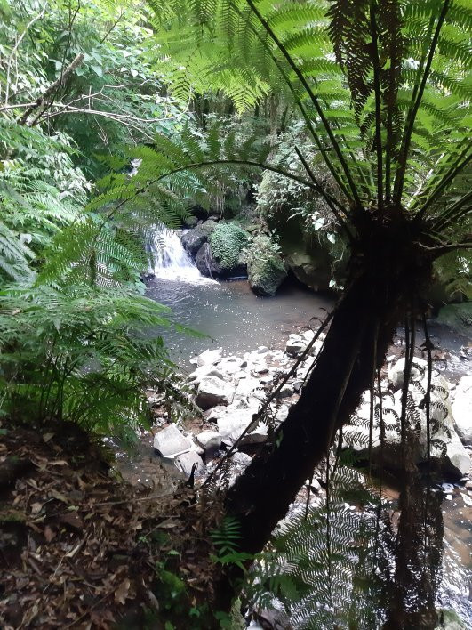 Parque das Oito Cachoeiras-Sao Francisco de Paula必去景点