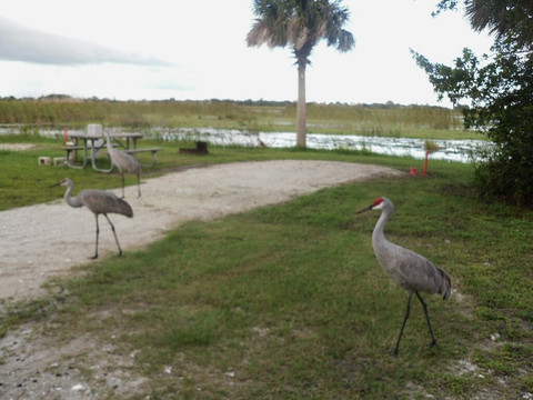 Savannas Recreation Area-匹尔斯堡必去景点