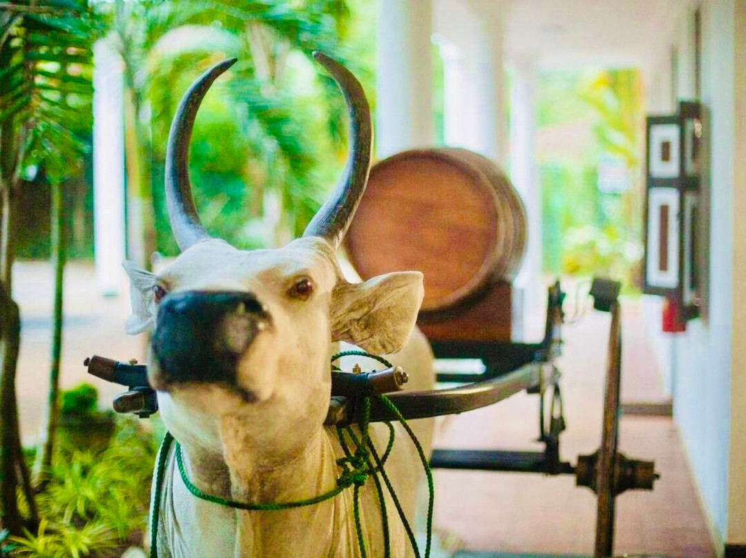 Hareesha Holiday Resort主图