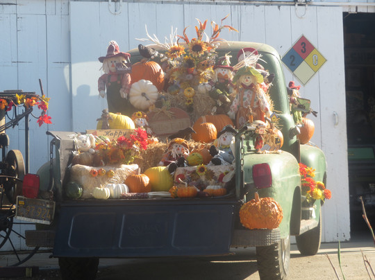 Sunnyvale Community Center Park-森尼韦尔必去景点