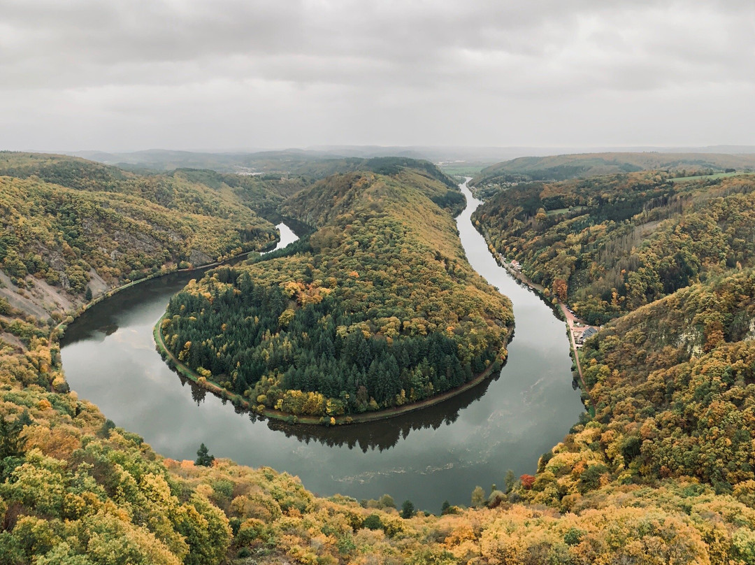 Treetop Path Saarschleife-Orscholz必去景点