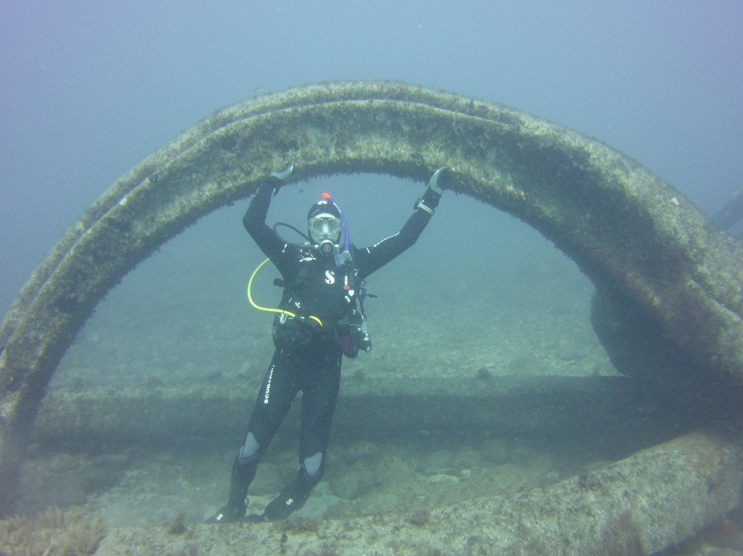 Canary Diving Adventures-莫干山必去景点