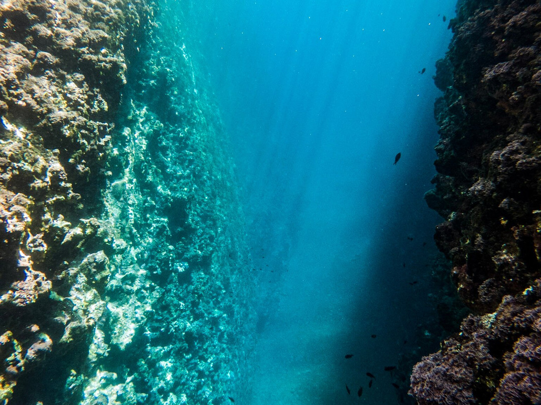 Abyss Garden-拉西奥塔必去景点