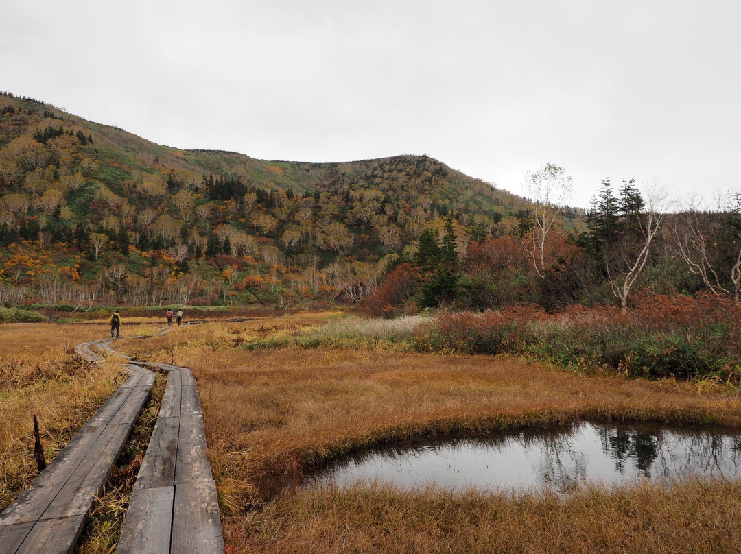 Tsugaike Natural Park景点图片