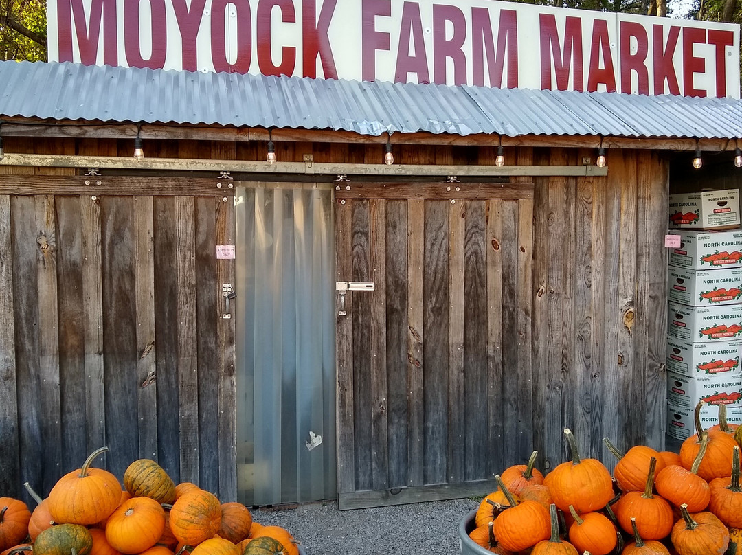 Moyock Farm Market景点图片