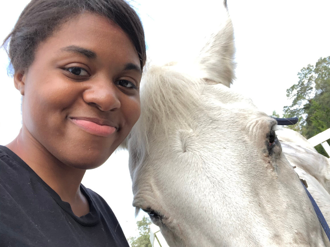 Bay haven farms-纳瓦拉必去景点