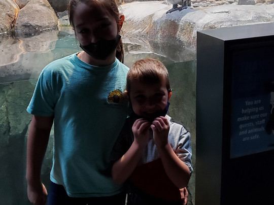 Skywild-戈尔兹伯勒必去景点