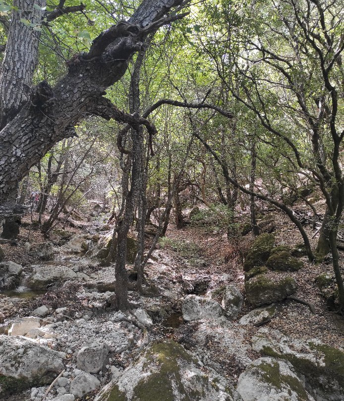 Butterfly Valley and Boat Cruise to the Island of Chalki-罗德斯必去景点