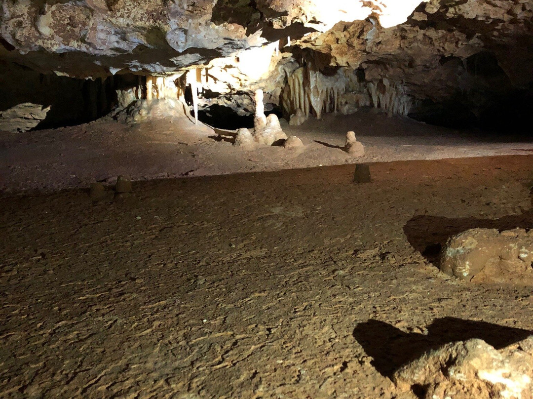 Victoria Fossil Cave-Naracoorte必去景点