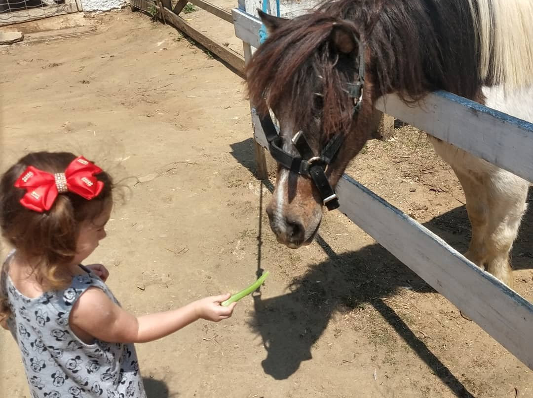 Hotel Fazenda Caledonia Inn主图