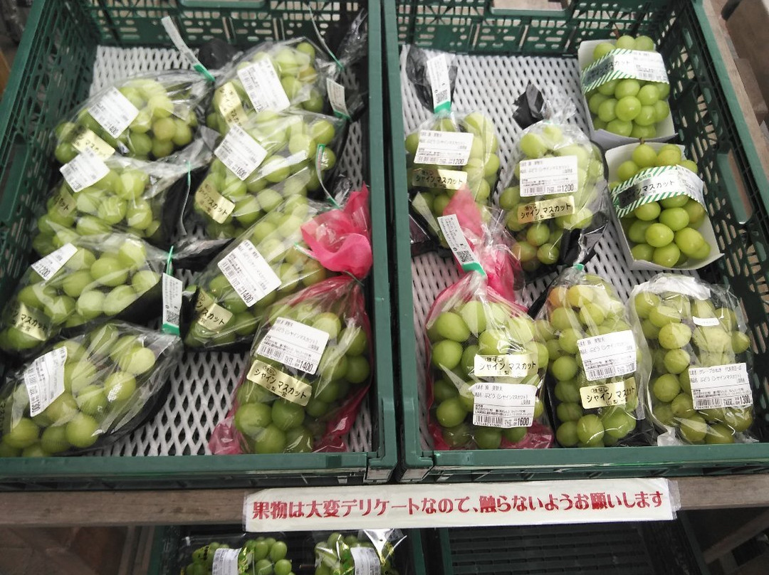 Michi no Eki Nambu景点图片