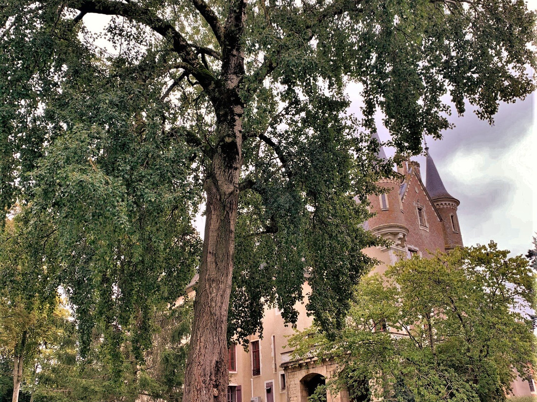 Mairie de Le Donjon景点图片
