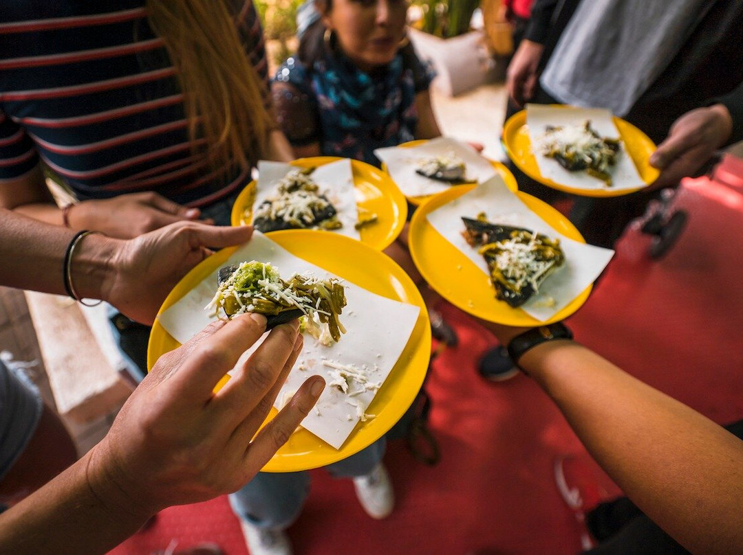 Foodhoodmx-墨西哥城必去景点