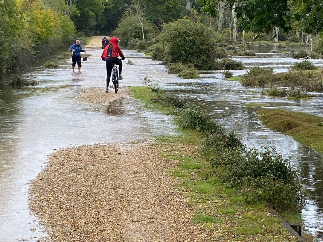New Forest Bikes景点图片