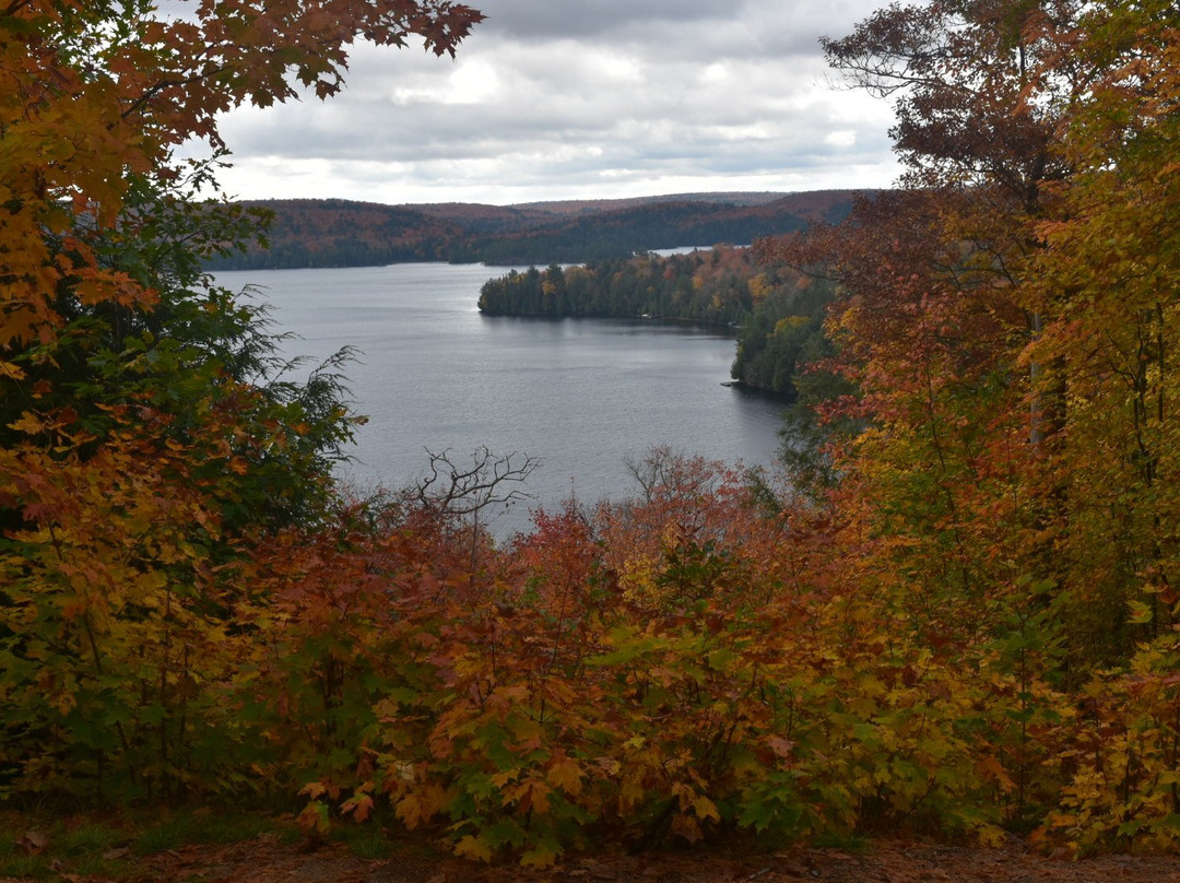 Hardwood Lookout Trail景点图片