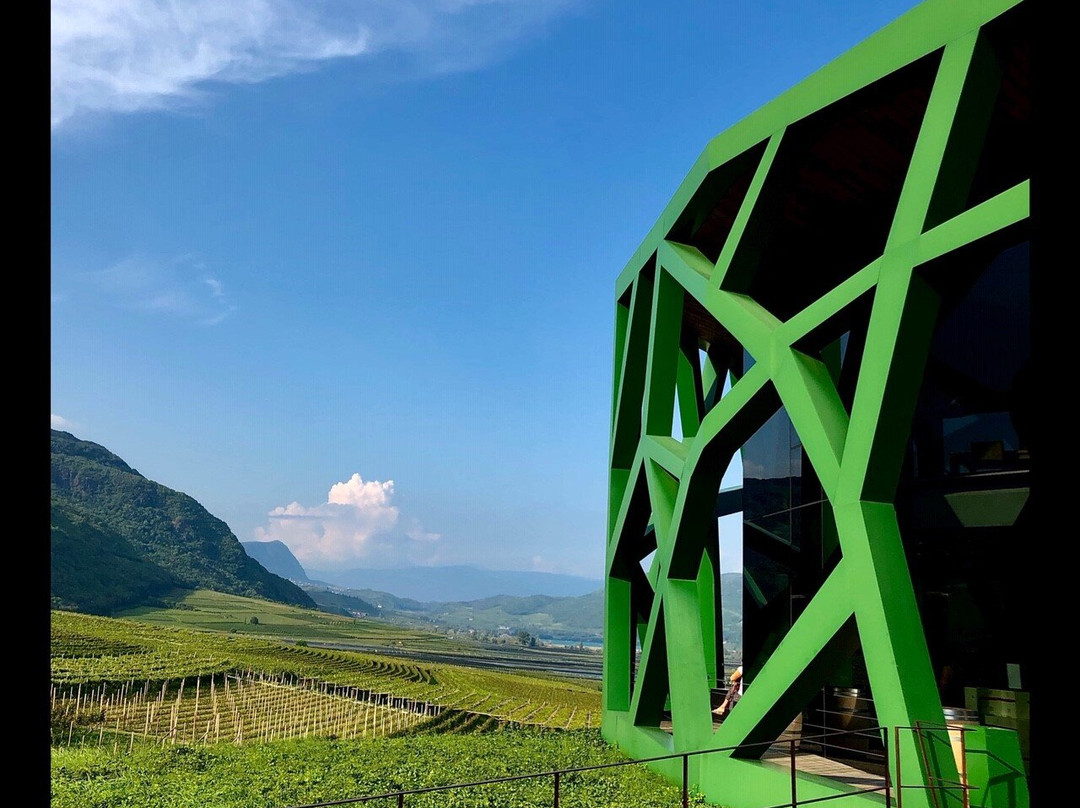 Cantina Tramin景点图片