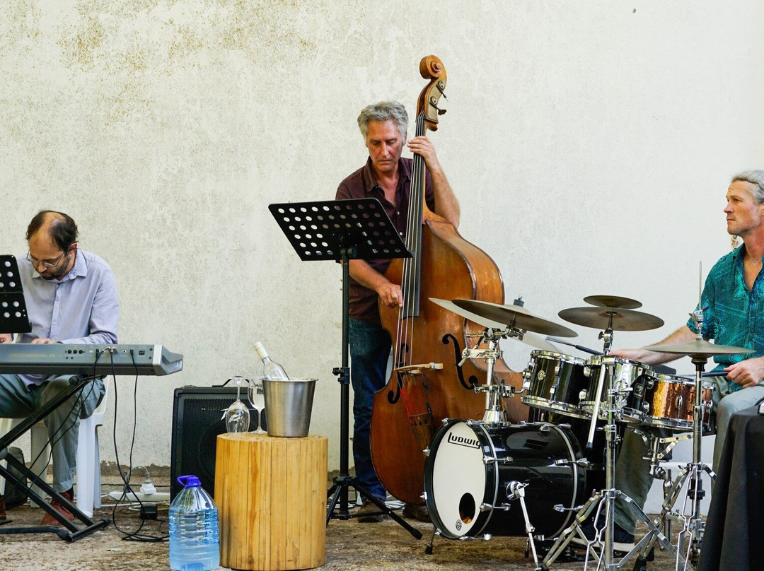 Winelands Art: Sips & Sights Day Tours-斯泰伦博斯必去景点