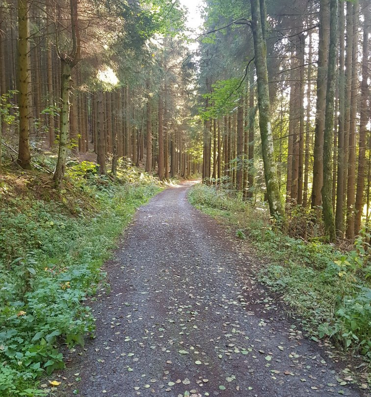 Land und Kurhotel Tommes主图