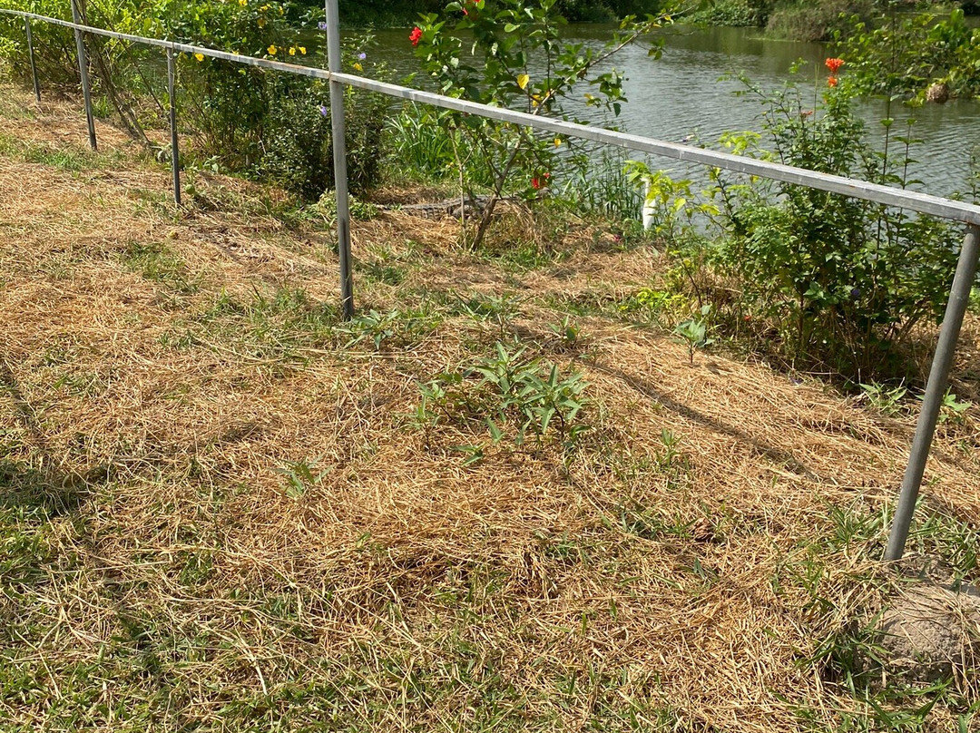 Hans Cottage Botel主图