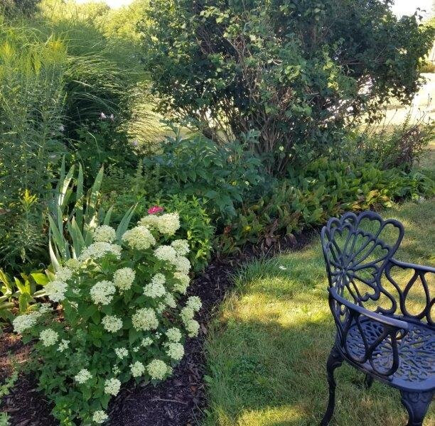 The Waring House主图