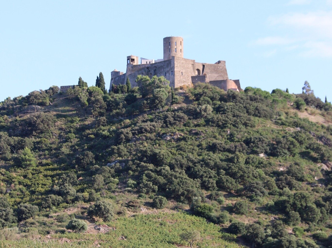 Moulin de Collioure-科利乌尔必去景点