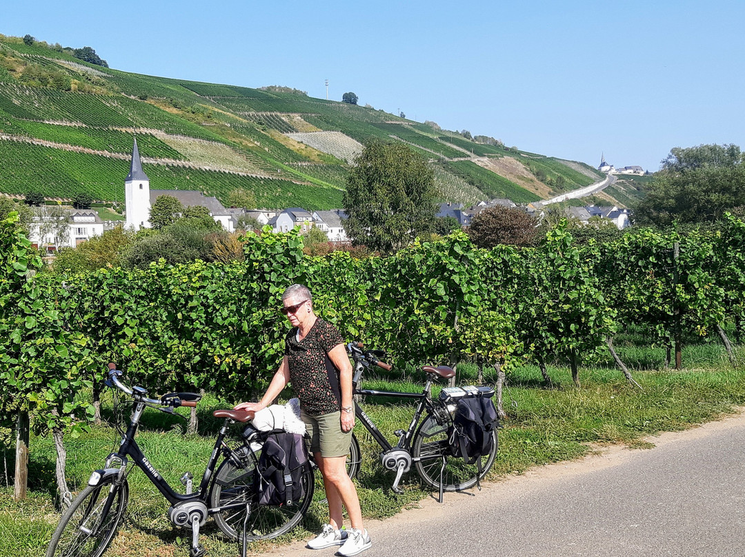 Veldenz旅游攻略图片