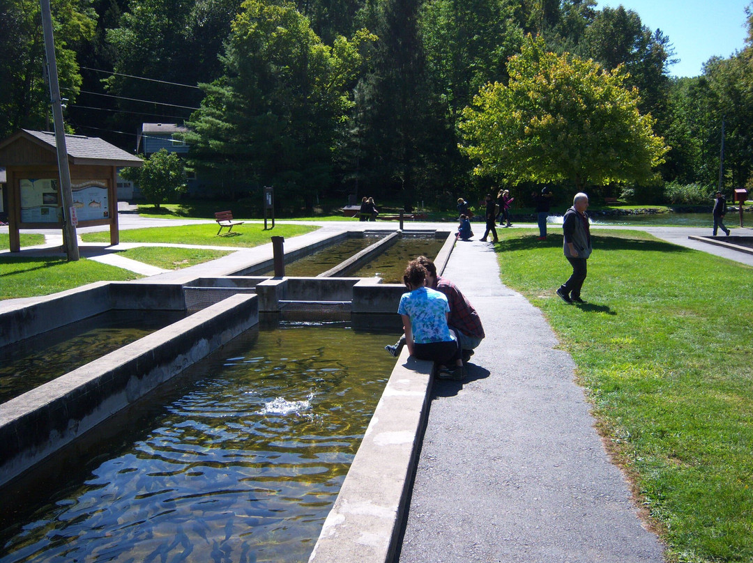2023年12月Fish Hatchery at Powder Mills Park景点攻略Fish Hatchery at Powder Mills Park门票预订地址图片Fish