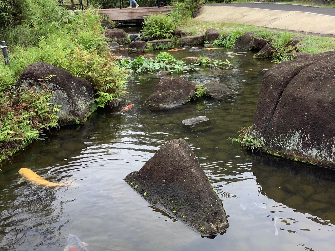 Saitama Aquarium-羽生市必去景点