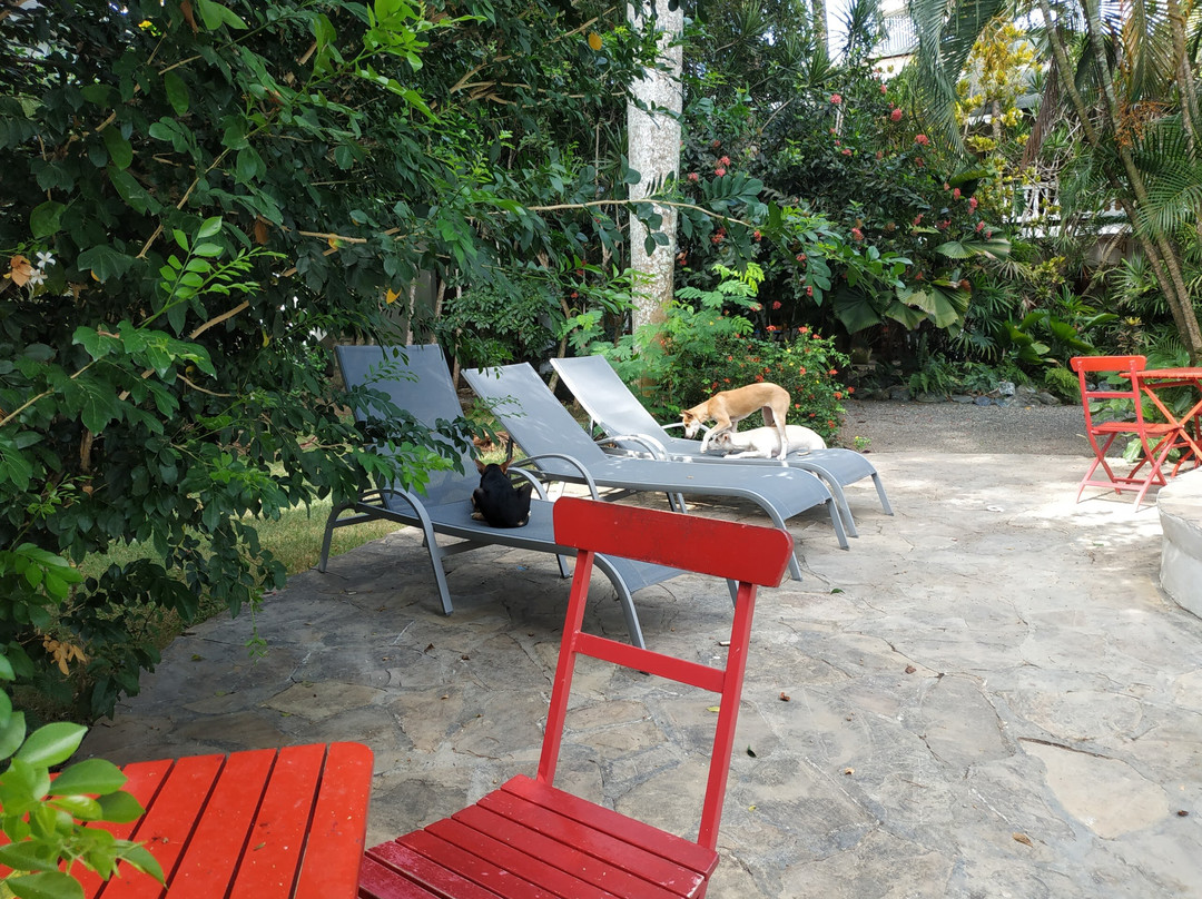 Cabarete Surfcamp主图