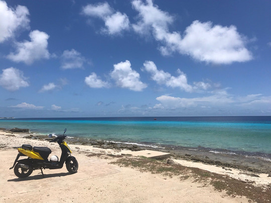 Smiley Rentals-Kralendijk必去景点