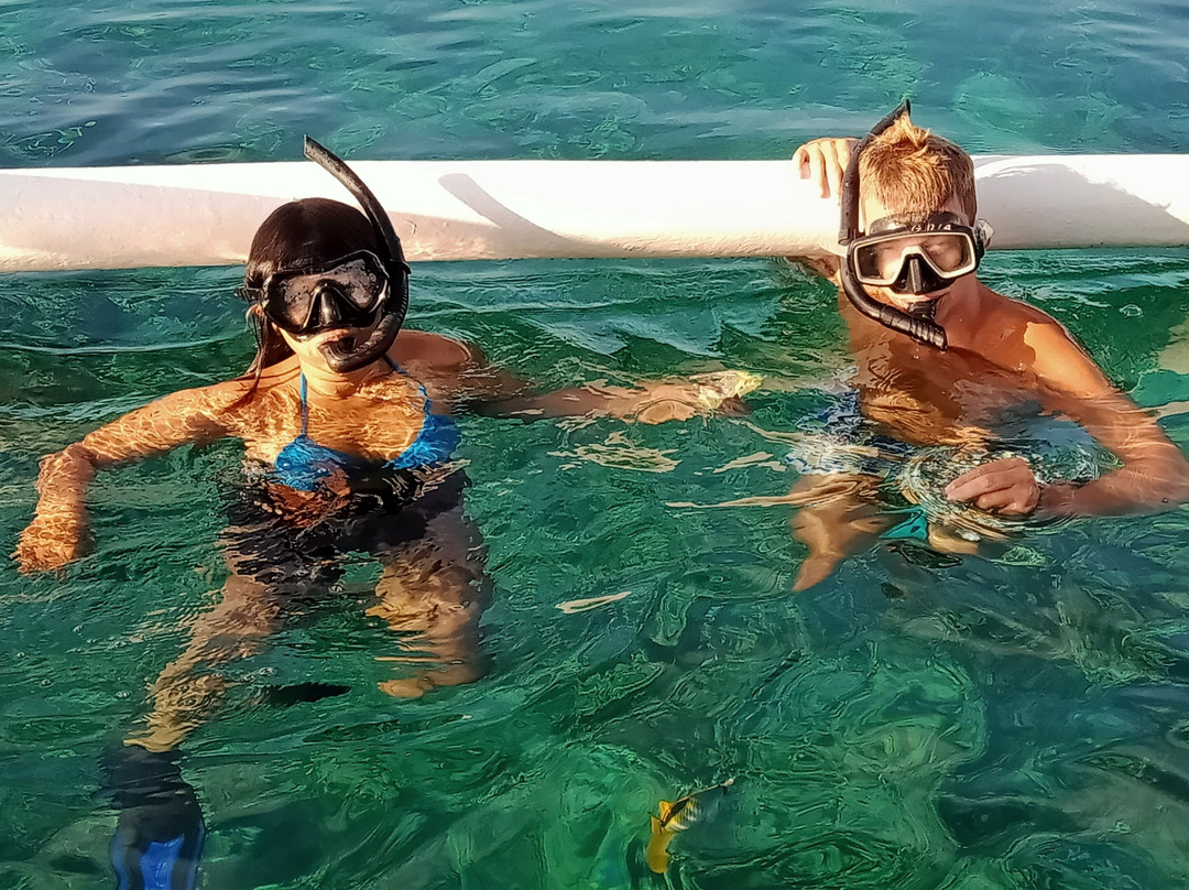 LOVINA TICKET DOLPHINS & SNORKLING-Kaliasem必去景点