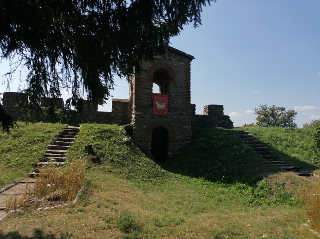Jidova Roman Castrum景点图片