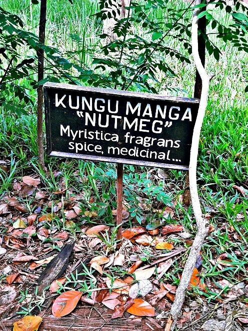 Zanzibar Spice Tour景点图片