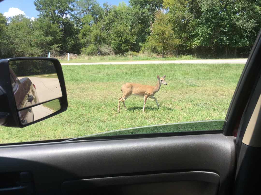 Lake Somerville State Park - Birch Creek Unit-Somerville必去景点