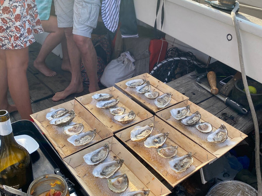 Balades iodées-康卡勒必去景点