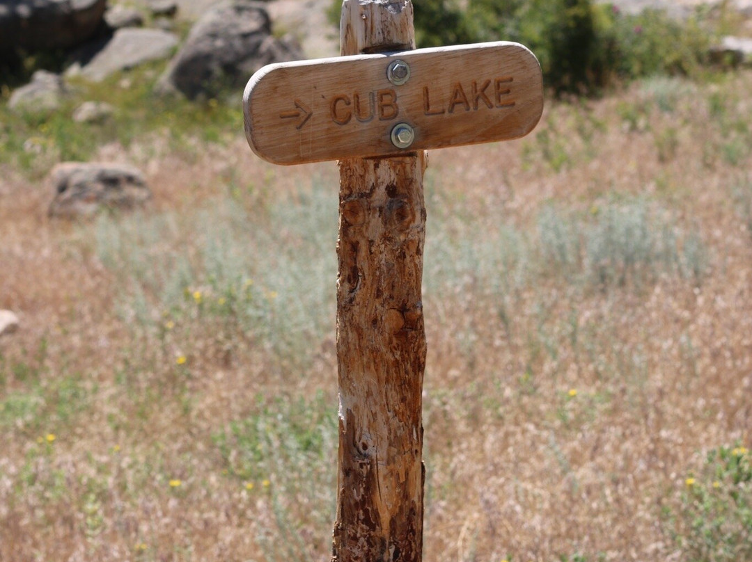 Cub Lake Trail景点图片