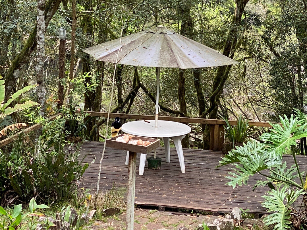 Posada Puerto Paraiso主图